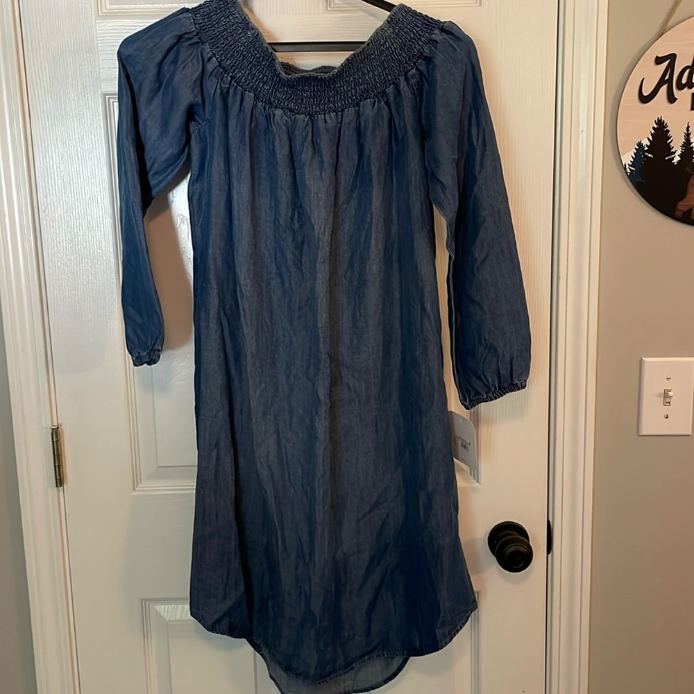 Isabel Maternity denim dress